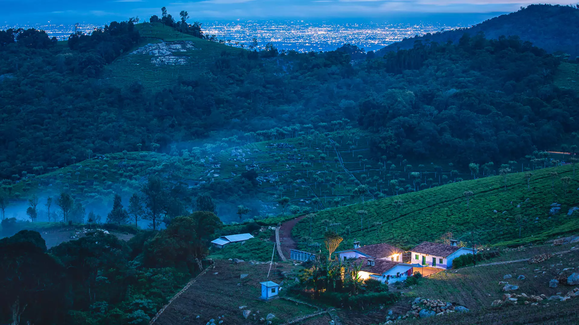 The nilgiris